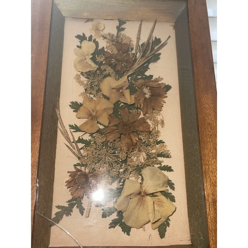 Vintage Dried Flowers Petals In Shadow Box Wood‎ Framed Wall Art Set of 2